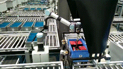 顯揚科技亮相央視直播間