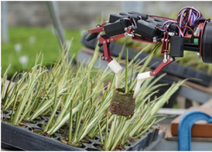 顯揚科技亮相央視直播間