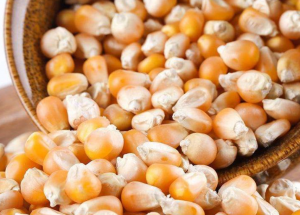 顯揚(yáng)科技亮相央視直播間