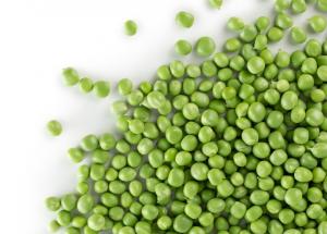 顯揚科技亮相央視直播間