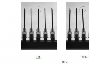 顯揚科技亮相央視直播間