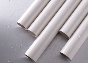 顯揚科技亮相央視直播間